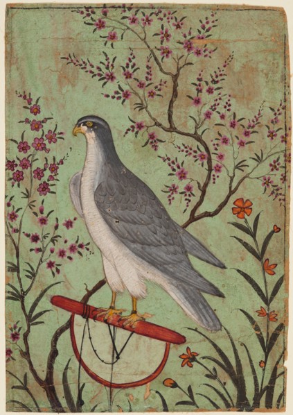 Falcon on a Perch, c. 1610. Creator: Unknown.