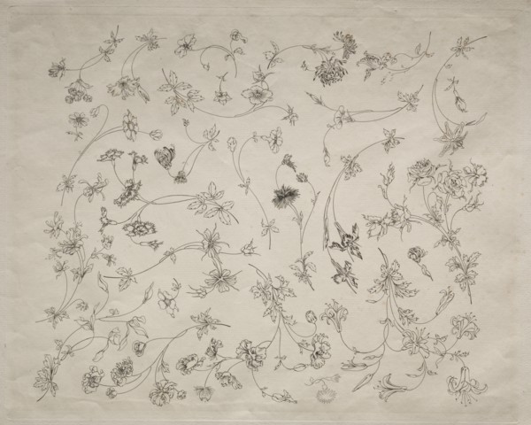 Flower designs for plates and borders (no. 14), 1872. Creator: Félix Bracquemond (French, 1833-1914).