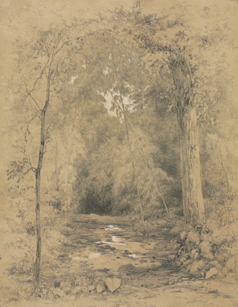 Forest Interior, c. 1870. Creator: John Henry Hill (American, 1839-1922).