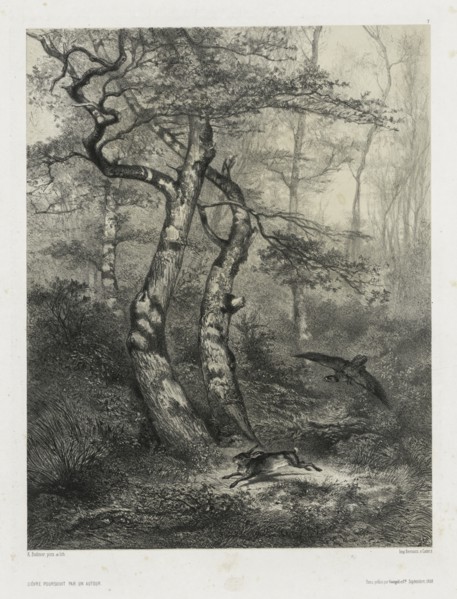 Hare Pursued by a Goshawk, 1858. Creator: Karl Bodmer (Swiss, 1809-1893); Goupil & Co., Paris.