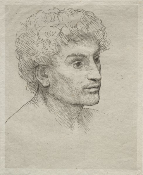 Head of a Young Man. Creator: Alphonse Legros (French, 1837-1911).
