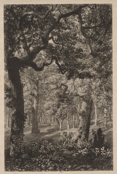 In the Woods. Creator: Adolphe Théodore Jules Martial Potémont (French, 1828-1883).
