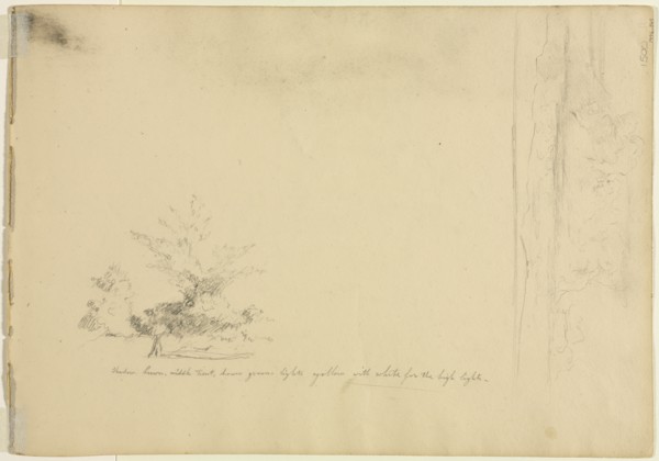 Landscape and Tree Studies (verso), c. 1851. Creator: David Johnson (American, 1827-1908).