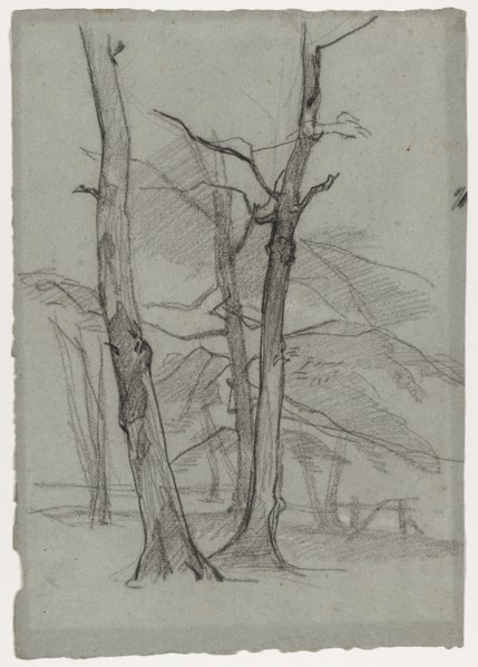 Landscape Study with Trees, c. 1870-1875. Creator: Thomas Couture (French, 1815-1879).