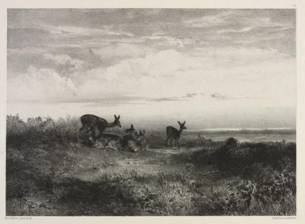 Landscape with Deer, c. 1840. Creator: Karl Bodmer (Swiss, 1809-1893).