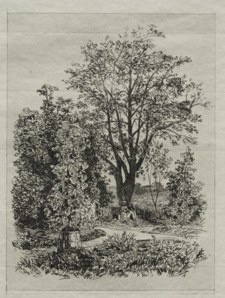 My Garden. Creator: Maxime Lalanne (French, 1827-1886).