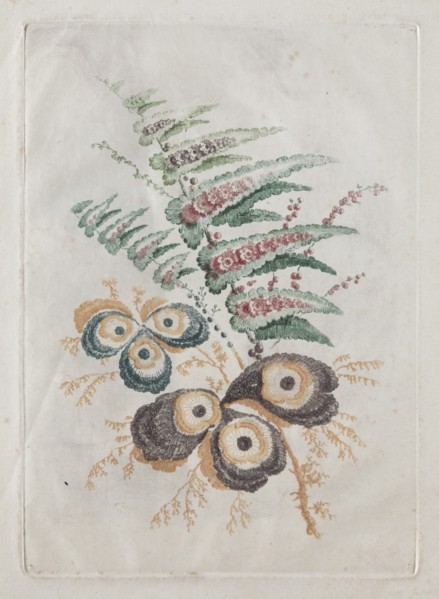 New Suite of Portfolios of Flowers Ideal to Use for Designing and Painting: Floral Fantasies, c. 179 Creator: Anne Allen (British).