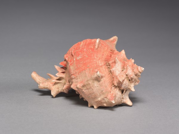 Offering Group: Large Shell, c. 800-1200(?). Creator: Unknown.