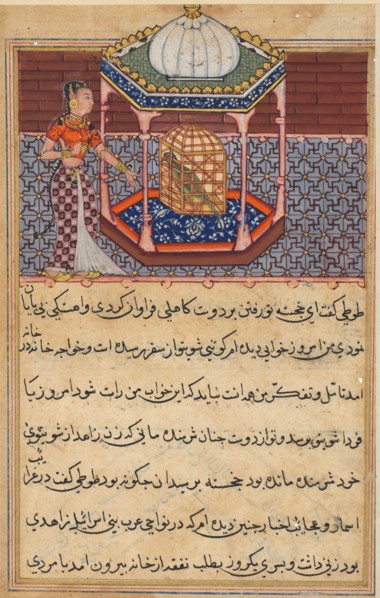 Page from Tales of a Parrot (Tuti-nama): Fifty-second night: The parrot addresses Khujasta..., c1560 Creator: Unknown.