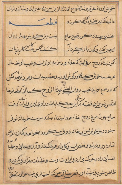 Page from Tales of a Parrot (Tuti-nama): text page, c. 1560. Creator: Unknown.