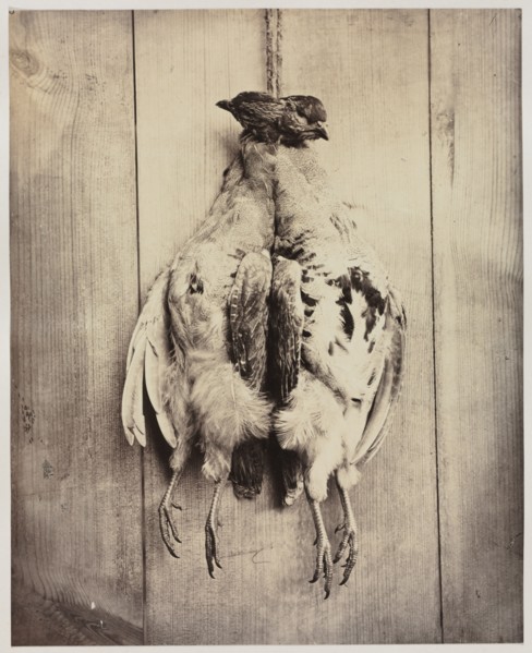 Partridges (recto); L.D. Campbell's Tomb (verso), c. 1861. Creator: Captain N. Baily (British); John Hamilton Craigie (British).