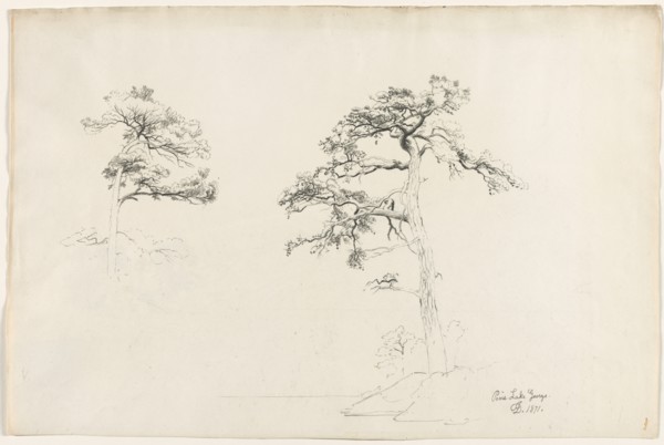 Pine, Lake George, 1871. Creator: David Johnson (American, 1827-1908).