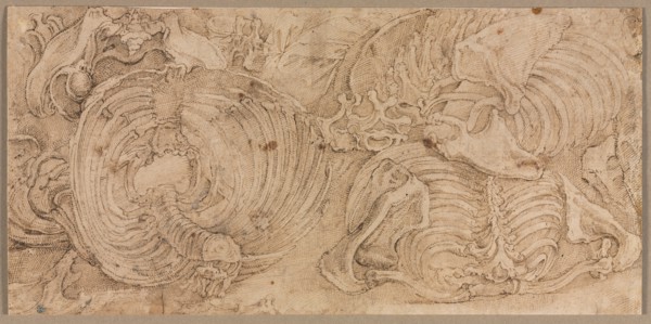 Rib Cages, early 1540s. Creator: Battista Franco (Italian, c. 1510-1561).