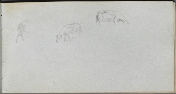 Sketchbook, page 20: Animal Study. Creator: Ernest Meissonier (French, 1815-1891).