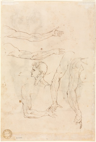 Sketches of Five Arms and a Head (verso), mid 1500s. Creator: Luzio Romano (Italian, active 1528-75).