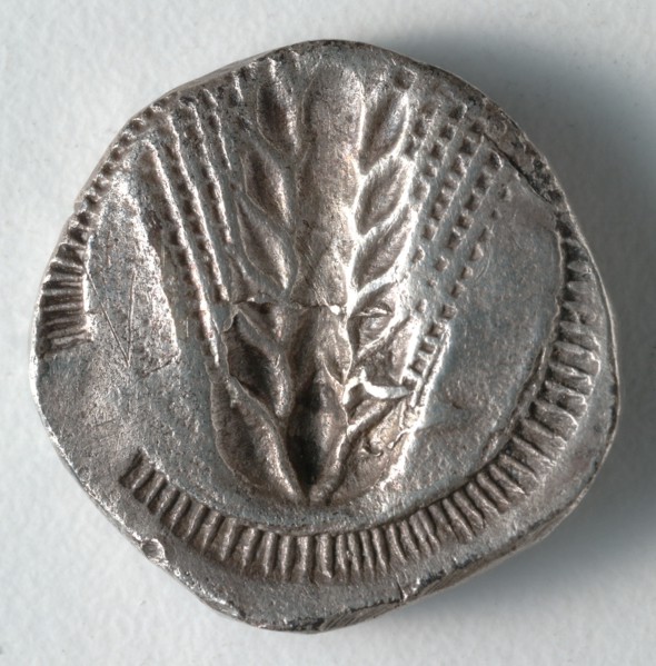 Stater: Ear of Corn incuse [stamped in] (reverse), 530-510 BC. Creator: Unknown.