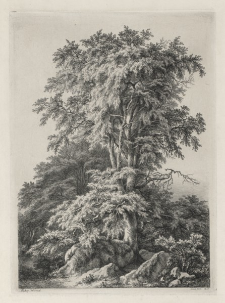 Studies Drawn and Engraved after Nature: The Beach, Fontainbleau..., 1840. Creator: Eugene Bléry (French, 1805-1886).