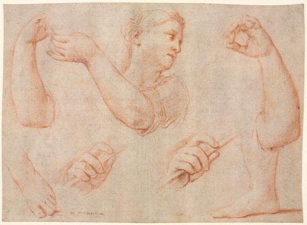Study of a Young Woman Playing a Tambourine, and Studies of an Arm, Hands, and Feet..., c. 1711. Creator: Marcantonio Franceschini (Italian, 1648-1729).