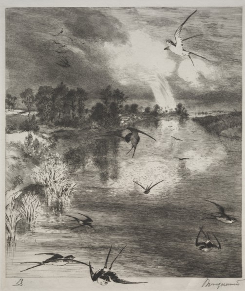 Swallows, 1882. Creator: Félix Bracquemond (French, 1833-1914).