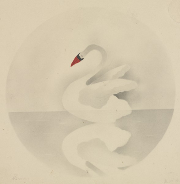 Swan. Creator: Mary Altha Nims (American, 1817-1907).
