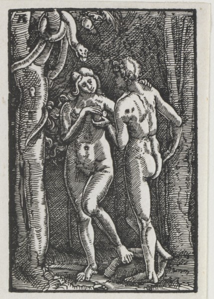 The Fall and Redemption of Man: Adam and Eve Eating the Forbidden Fruit, c. 1513. Creator: Albrecht Altdorfer (German, c. 1480-1538).