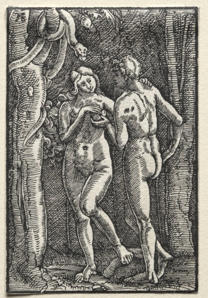 The Fall and Redemption of Man: Adam and Eve Eating the Forbidden Fruit, c. 1515. Creator: Albrecht Altdorfer (German, c. 1480-1538).