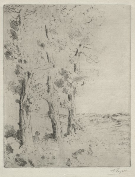 The Reader: The Lecture under the Trees, c. 1882. Creator: Alphonse Legros (French, 1837-1911).