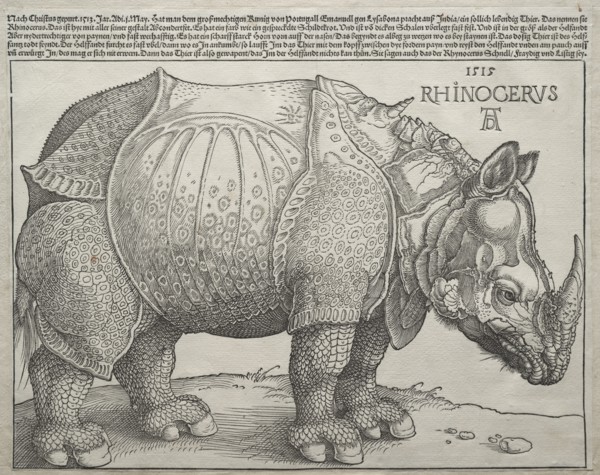 The Rhinoceros, 1515. Creator: Albrecht Dürer (German, 1471-1528).
