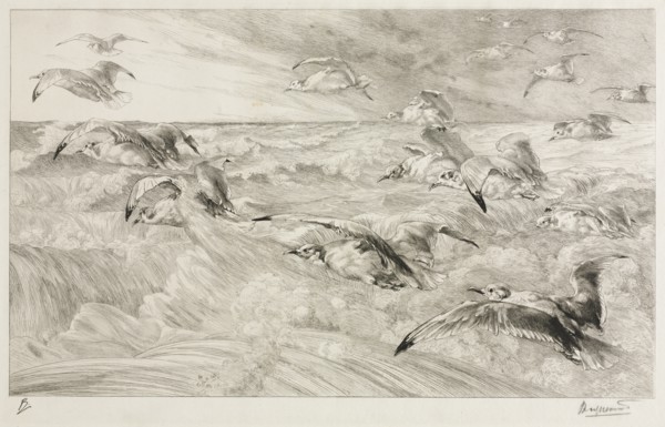 The Seagulls, c. 1880. Creator: Félix Bracquemond (French, 1833-1914).