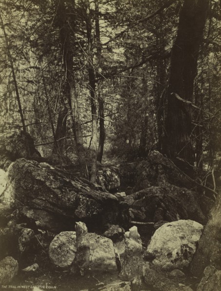 The Trail in West Gallatin Cañon, c. 1870s. Creator: William Henry Jackson (American, 1843-1942).