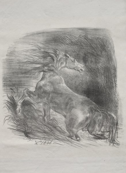 The Wild Horse, or Frightened Horse Leaving the Water, 1828. Creator: Eugène Delacroix (French, 1798-1863).
