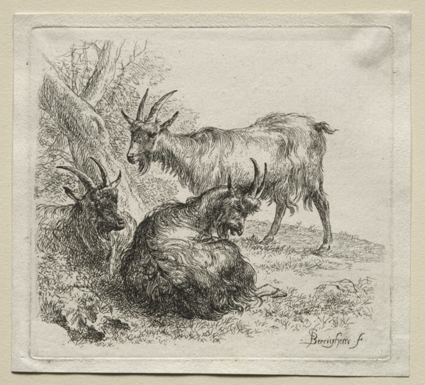 Three Goats. Creator: Nicolaes Berchem (Dutch, 1620-1683).