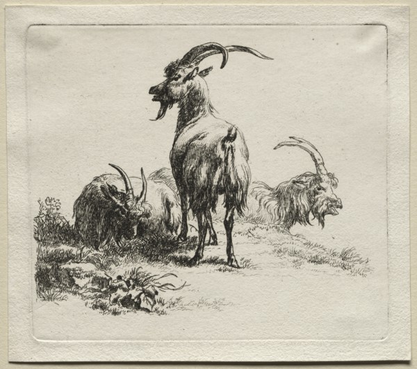 Three Goats. Creator: Nicolaes Berchem (Dutch, 1620-1683).