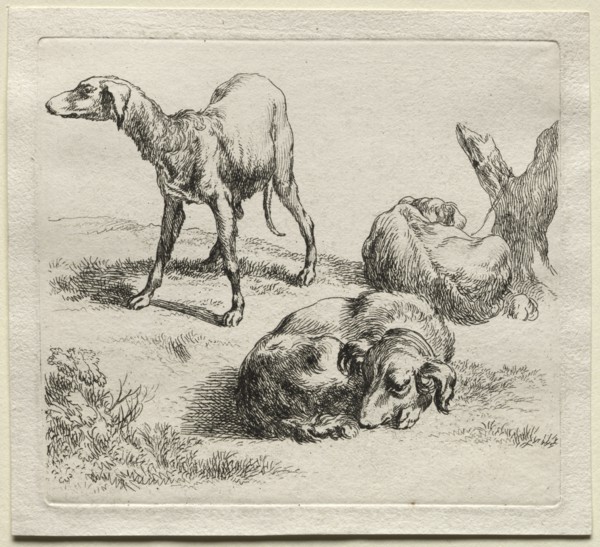Three Hunting Dogs. Creator: Nicolaes Berchem (Dutch, 1620-1683).