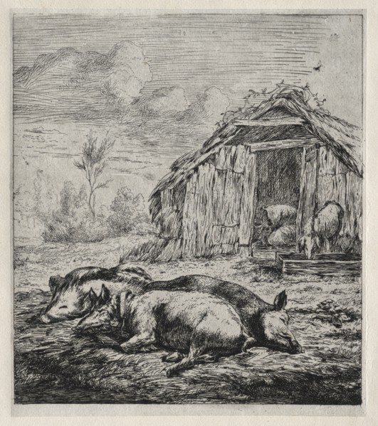 Three Swine Lying in Front of a Sty, 1850. Creator: Charles Meryon (French, 1821-1868).