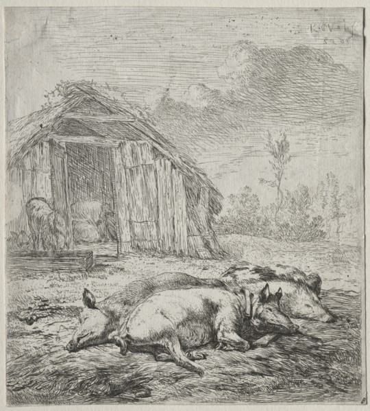Three Swine Lying in Front of a Sty. Creator: Karel Dujardin (Dutch, c. 1622-1678).