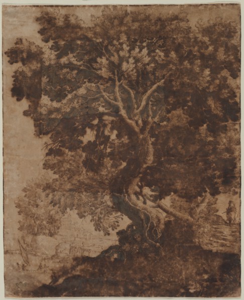 Tree in a Landscape, mid 17th century. Creator: Ercole Bazicaluva (Italian, c. 1610-1661).
