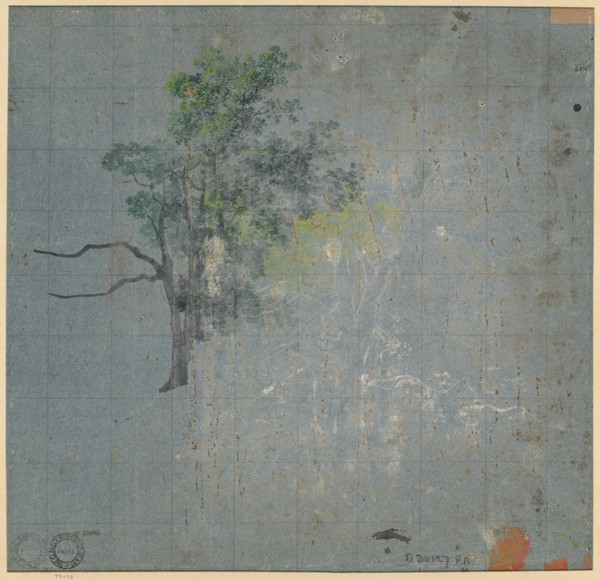 Tree Studies, first half 1800s. Creator: Johann Jacob Dorner (German, 1775-1852).