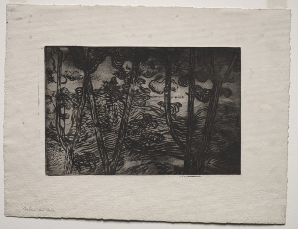 Trees at Night, c. 1894. Creator: Armand Séguin (French, 1869-1903).