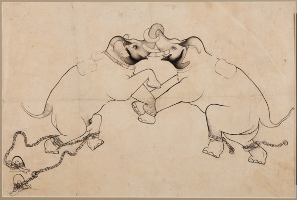 Two Elephants in Combat, early 1700s. Creator: Unknown.