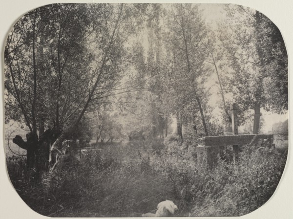 Untitled (Landscape with Dog), c. 1910. Creator: Unidentified Photographer.