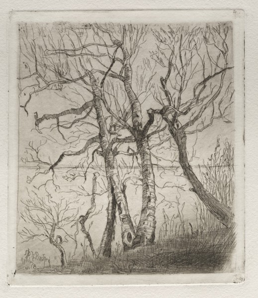 Woods by the Lake, 1878. Creator: Otto H. Bacher (American, 1856-1909).