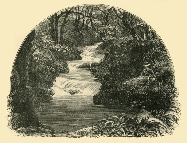 'Bagworthy Waterslide', 1898. Creator: Unknown.