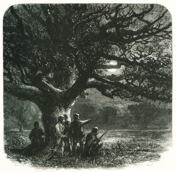 'The Watch Oak', c1870.