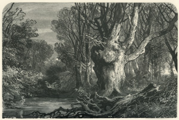'Near Lymington, in the New Forest', c1870.