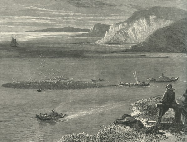 'Pilchard Fishing off the Lizard', c1870.