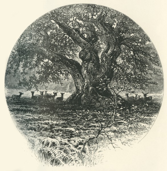 'The "King of the Border".', c1870.
