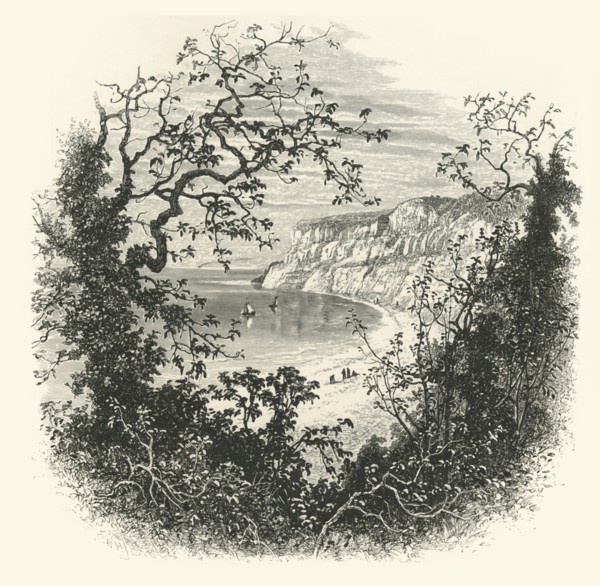 'View from the Entrance to Shanklin Chine', c1870.