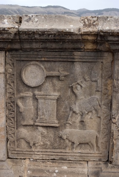 Algeria, Djemila, inscriptions