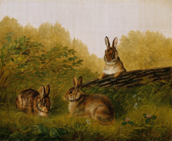 Rabbits on a Log, 1897. Creator: Arthur Fitzwilliam Tait.
